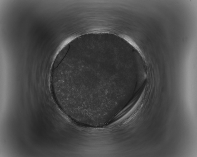 X0000086261277200704191856