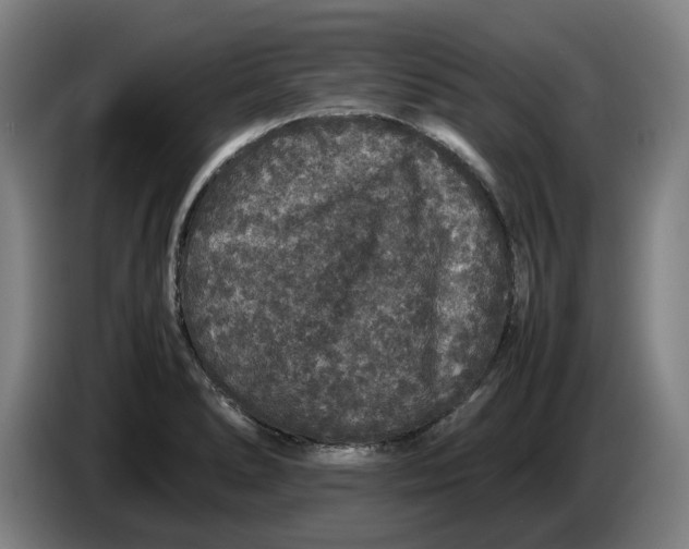 X0000086261278200704191856