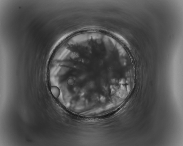 X0000086261279200704191856
