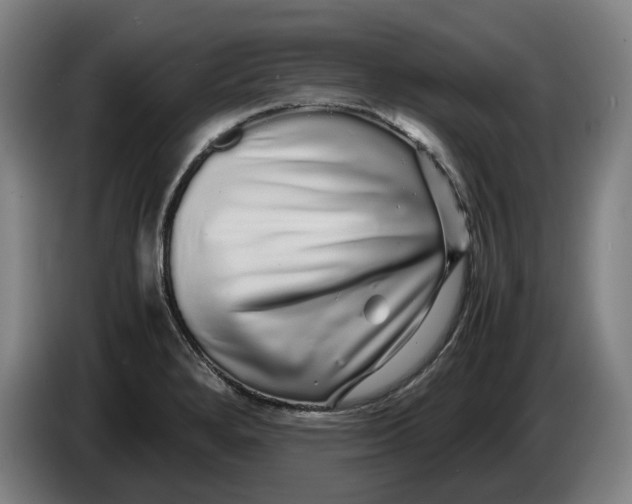 X0000086261280200704191856