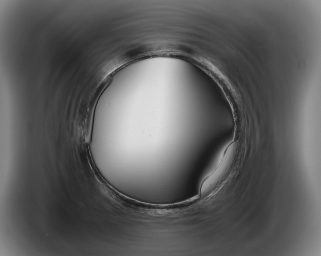 X0000086261281200704191856