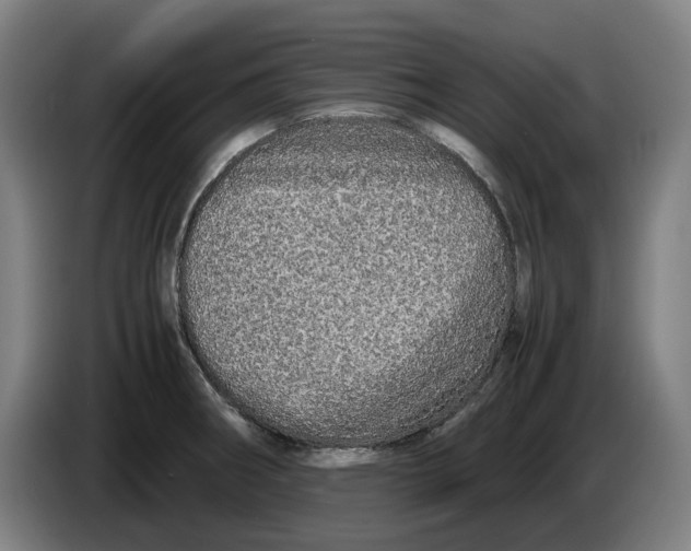 X0000086261282200704191856