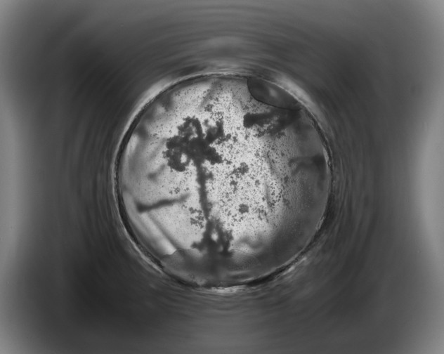X0000086261283200704191856