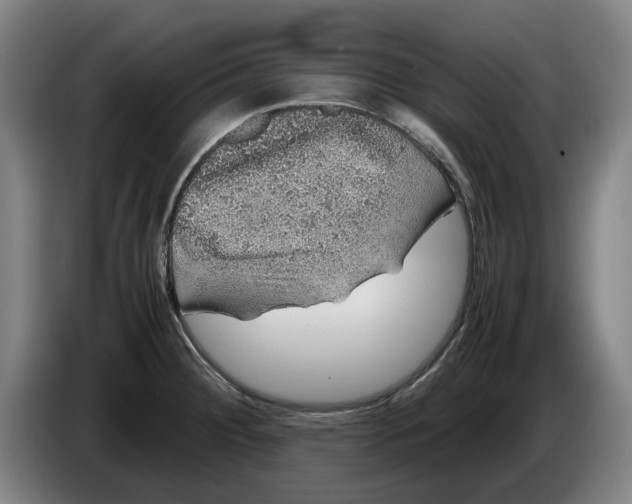 X0000086261284200704191856