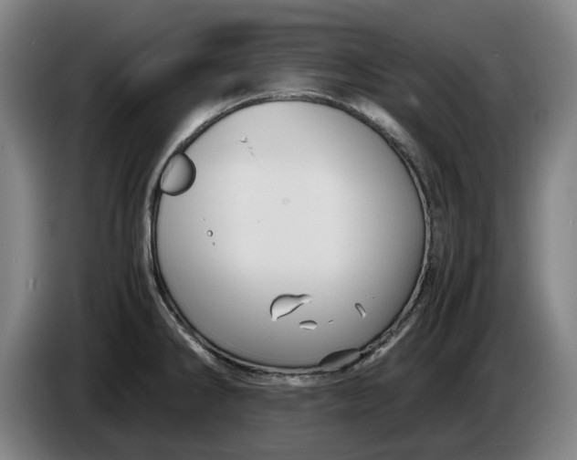 X0000086261286200704191856