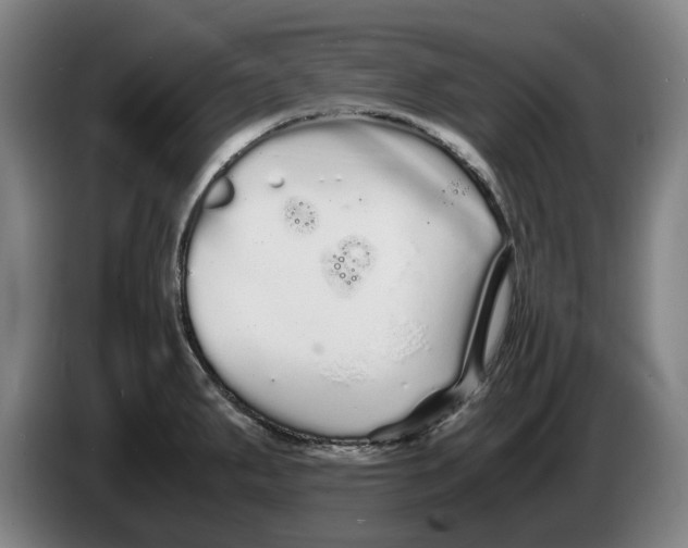 X0000086261287200704191856