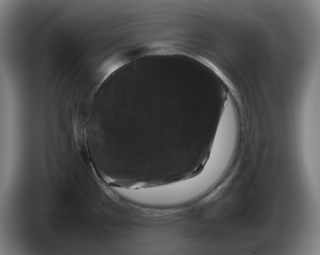 X0000086261289200704191856