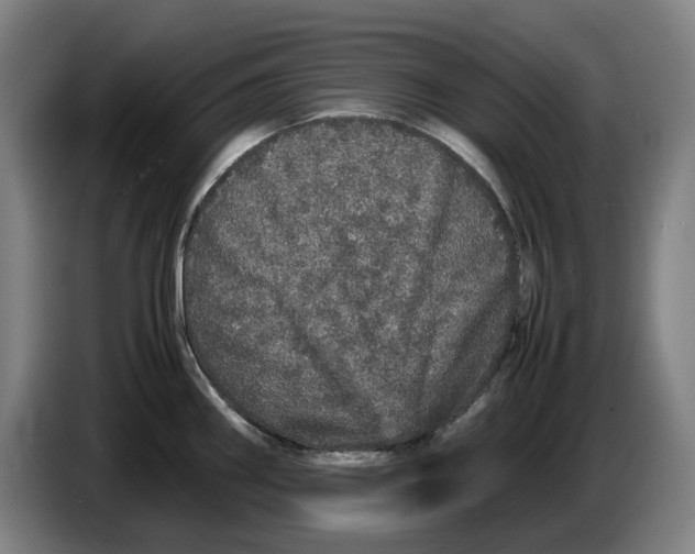 X0000086261290200704191856