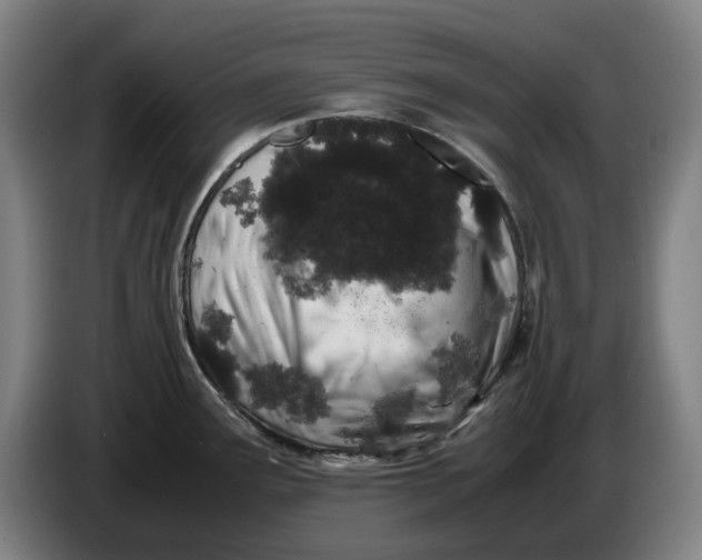 X0000086261291200704191856