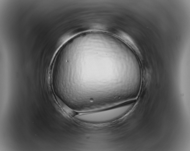 X0000086261292200704191856