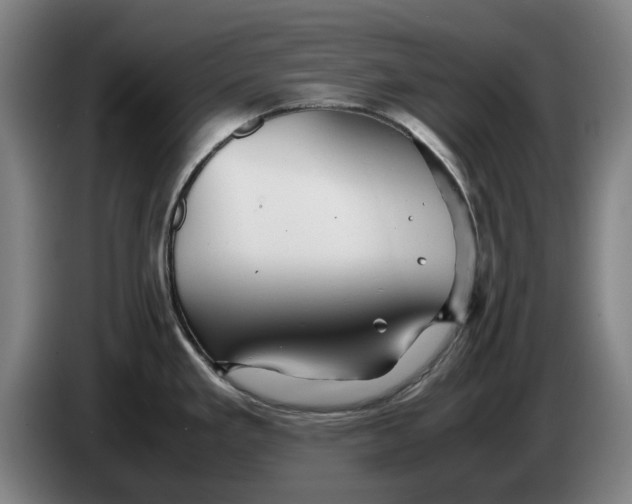 X0000086261293200704191856