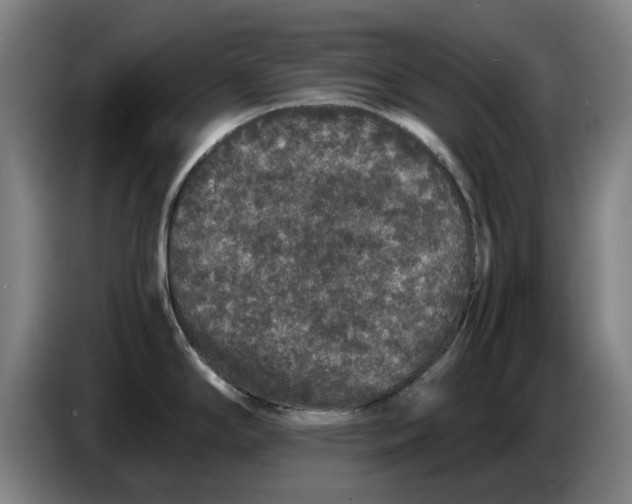 X0000086261294200704191856