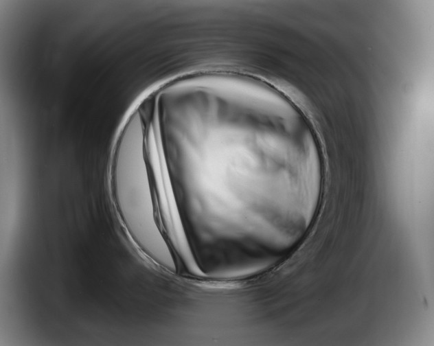 X0000086261296200704191856