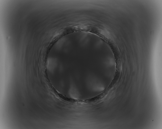 X0000086261297200704191855