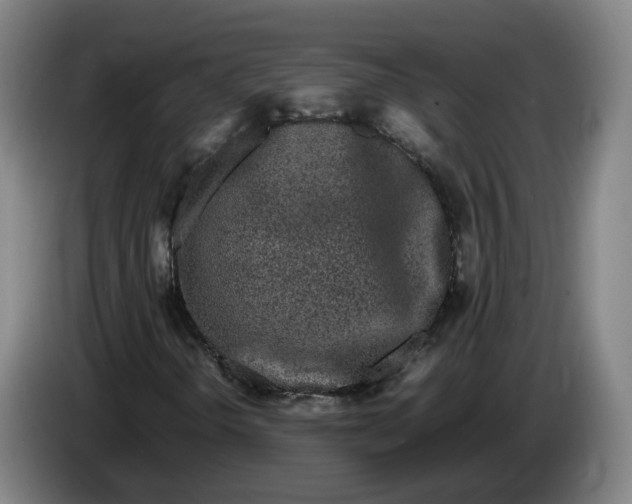 X0000086261298200704191855