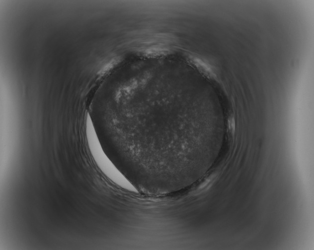 X0000086261300200704191855