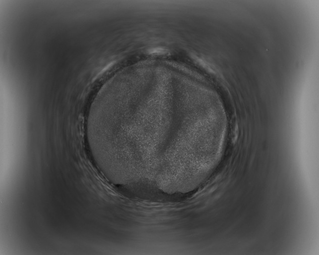 X0000086261301200704191855