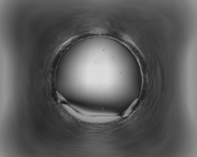 X0000086261304200704191855