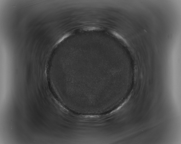 X0000086261305200704191855