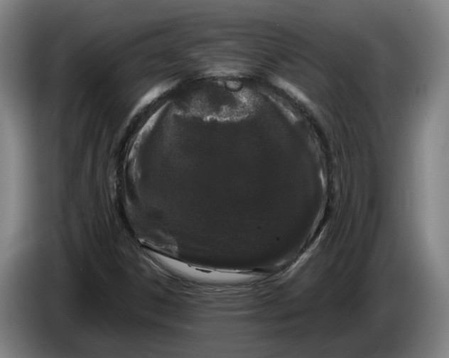X0000086261306200704191855