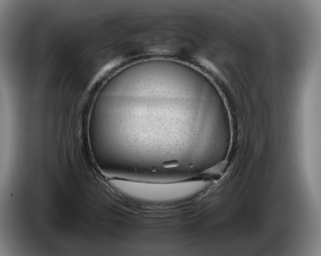 X0000086261307200704191855