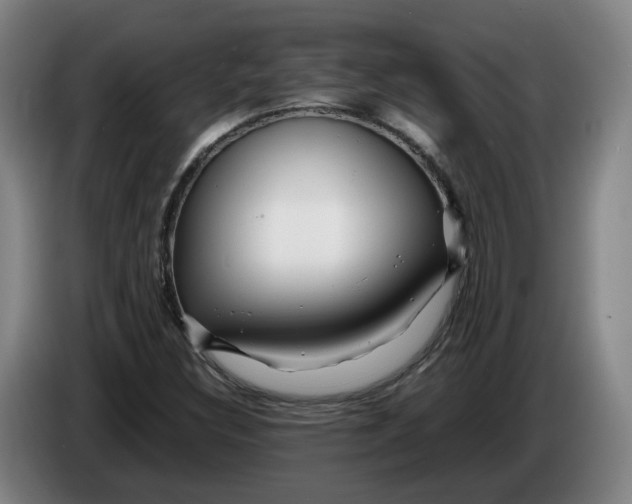 X0000086261308200704191855