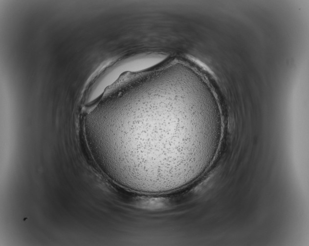 X0000086261309200704191855