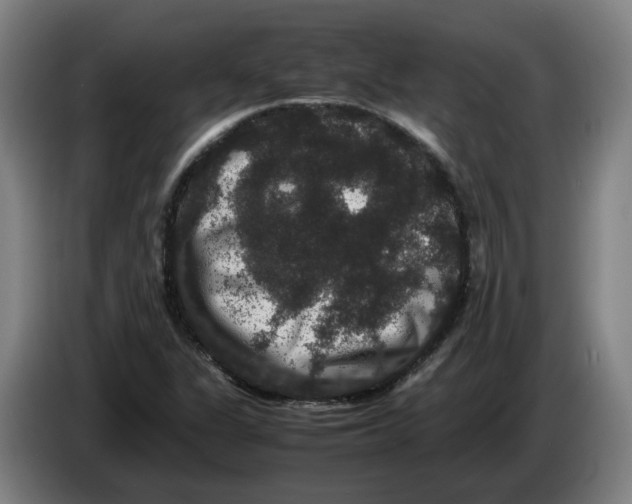 X0000086261311200704191855