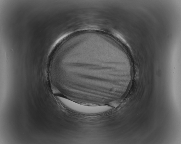 X0000086261312200704191855