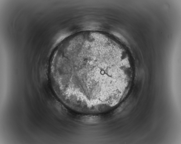 X0000086261314200704191855