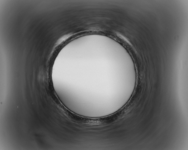 X0000086261315200704191855
