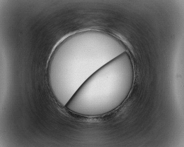 X0000086261316200704191855