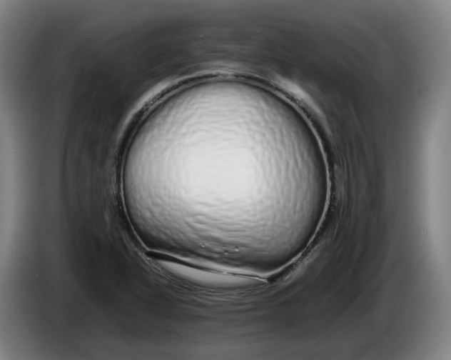 X0000086261318200704191855