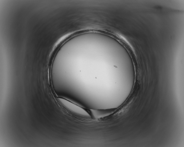 X0000086261320200704191855