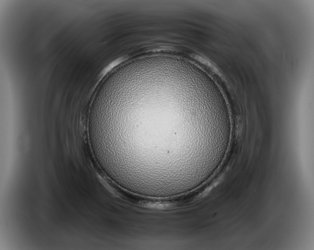 X0000086261321200704191855
