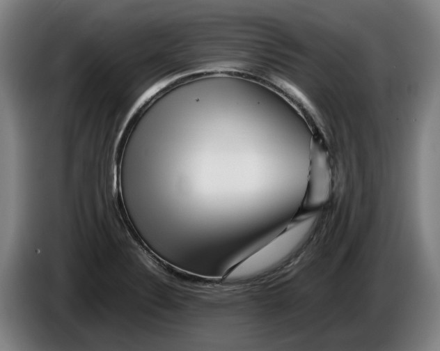 X0000086261324200704191855