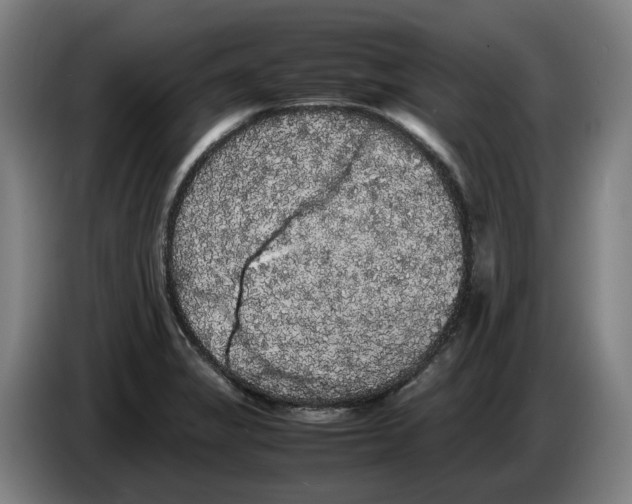 X0000086261325200704191855