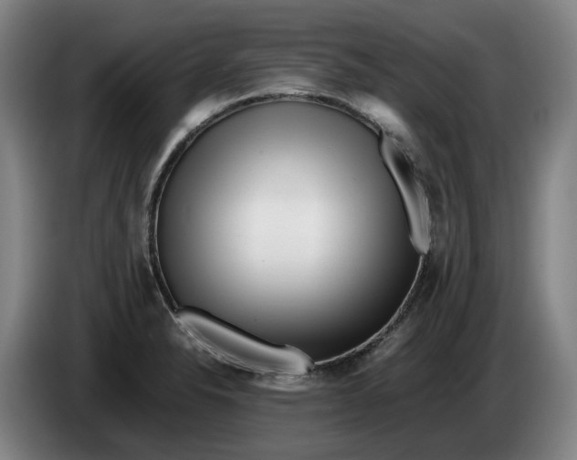 X0000086261326200704191855