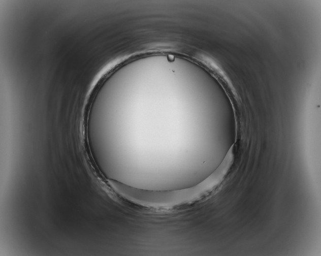 X0000086261328200704191855