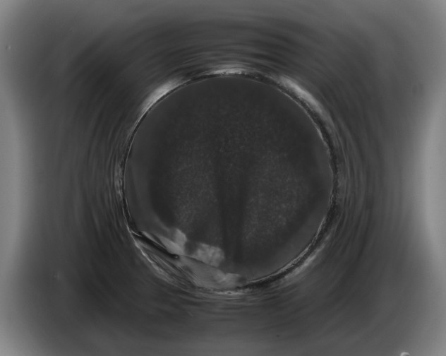 X0000086261329200704191855