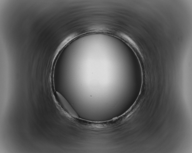 X0000086261330200704191855