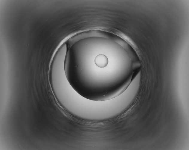 X0000086261332200704191855