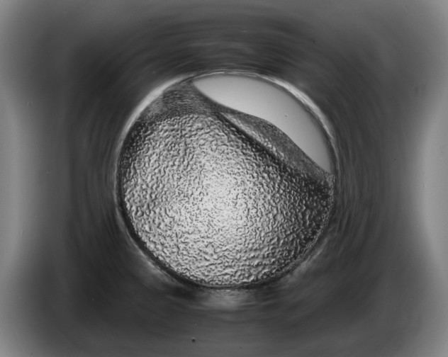 X0000086261333200704191855