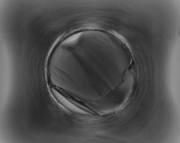 X0000086261334200704191855