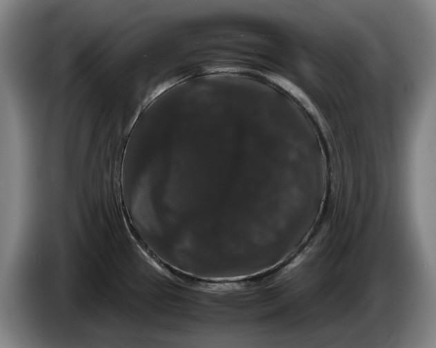 X0000086261337200704191855