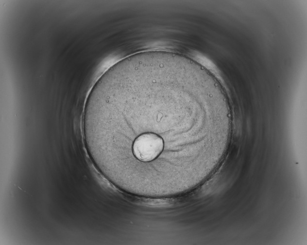 X0000086261338200704191855