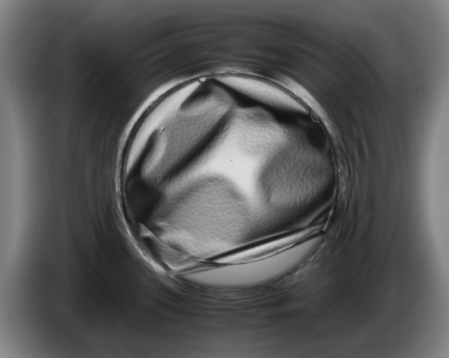 X0000086261339200704191855