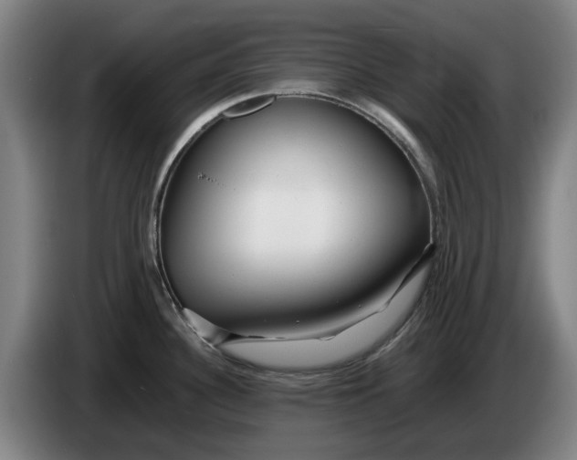 X0000086261340200704191855