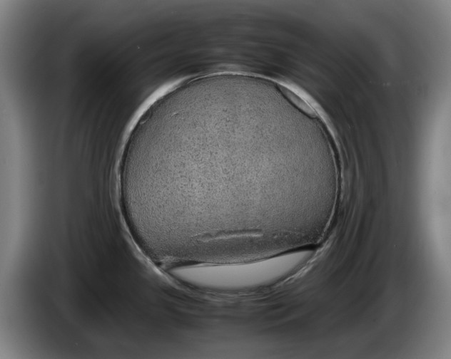 X0000086261341200704191855