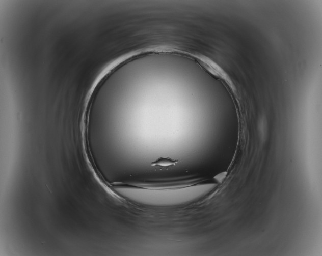 X0000086261343200704191856